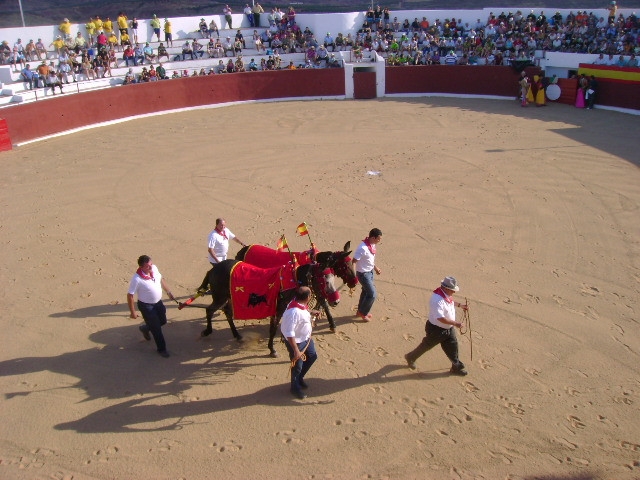 fiestas 2010 49