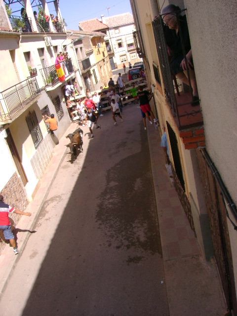 fiestas 2010 63