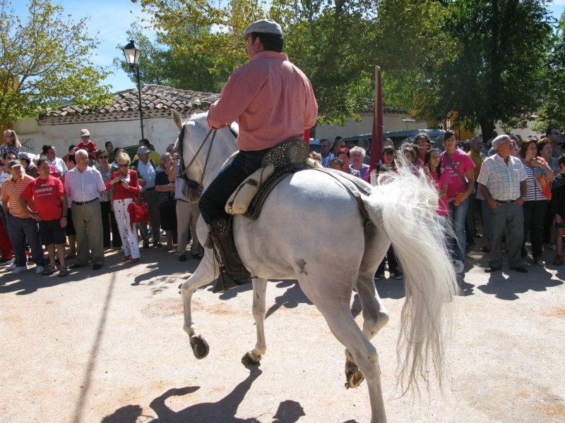 fiestas 2008 20