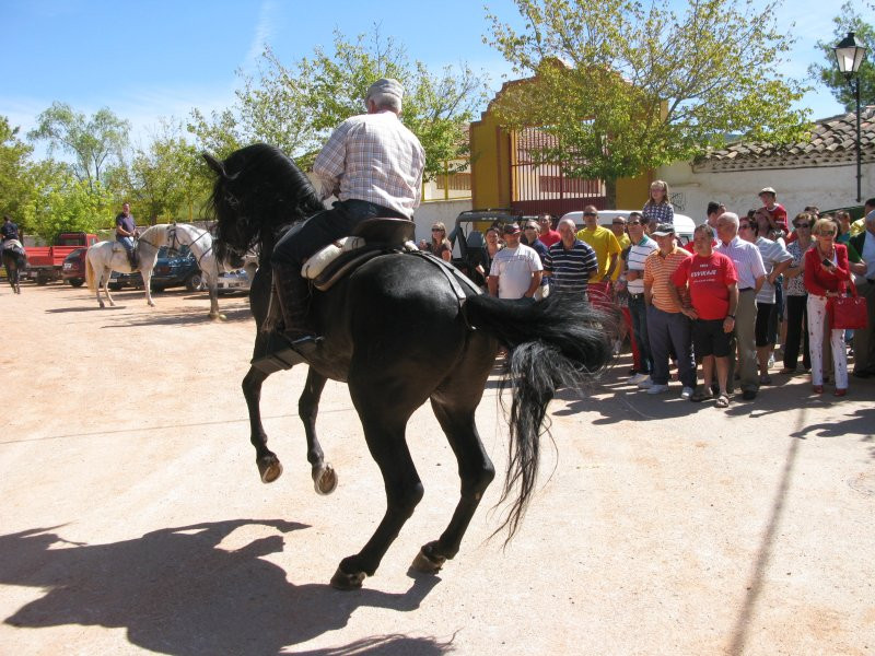 fiestas 2008 21