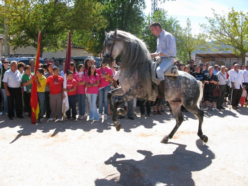 fiestas 2008 22