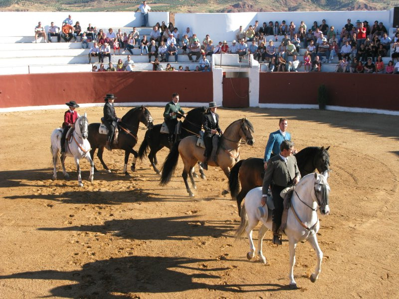 fiestas 2008 33