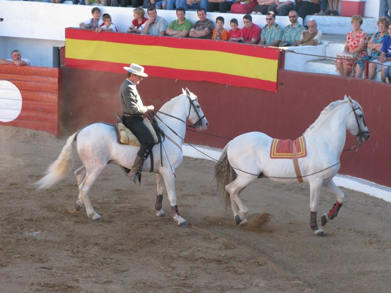 fiestas 2008 35