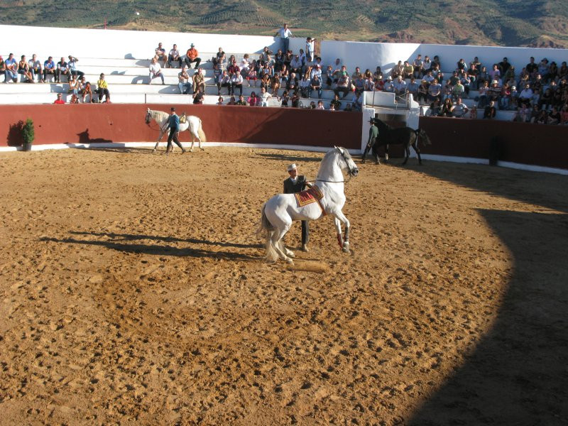 fiestas 2008 37