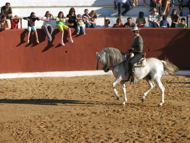 fiestas 2008 39