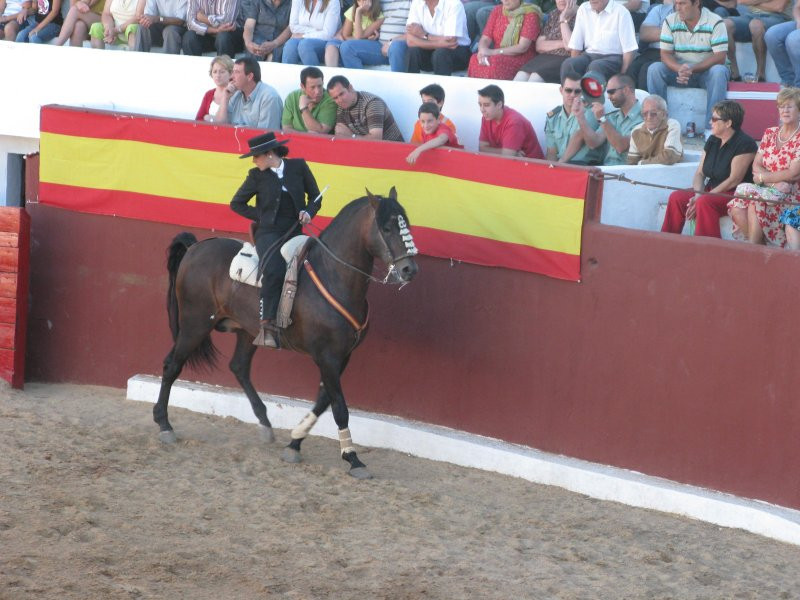 fiestas 2008 42