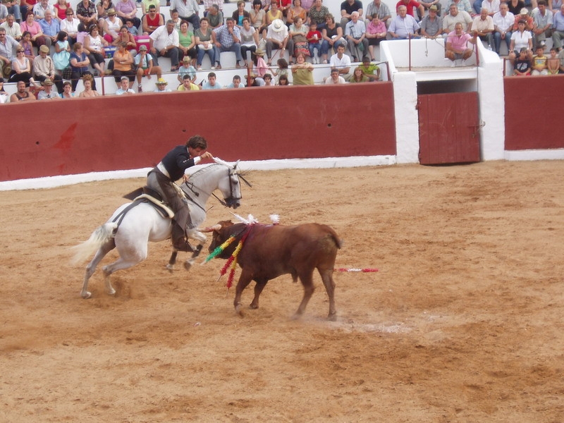 fiestas 2009 104